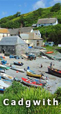 Cadgwith Cove