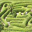 The Maze at Glendurgan
