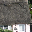 Thatched Cottage