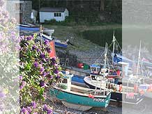 Cadgwith Boats